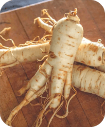 Chinese Ginseng